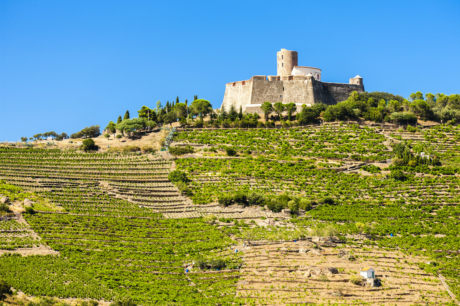 Hidden Southern France - CountryBred