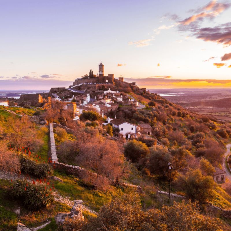 Alentejo Highlight Photos CountryBred (1)