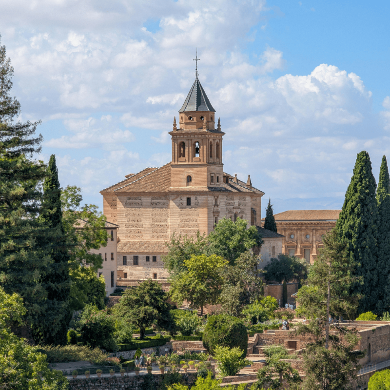 Andalucia Highlight Photos CountryBred (2)