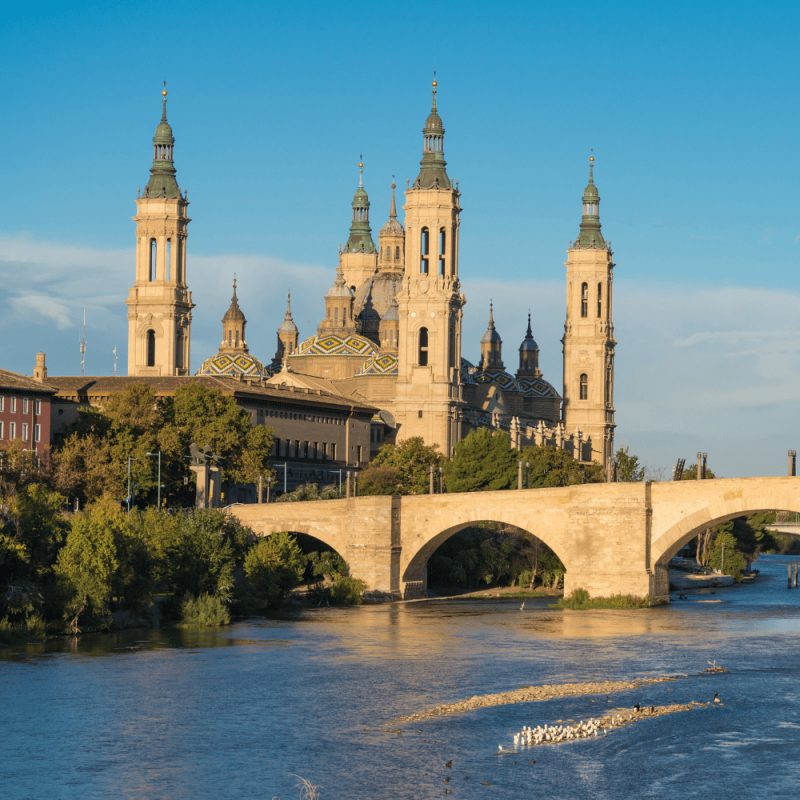 Aragon Highlight Photos CountryBred (2)