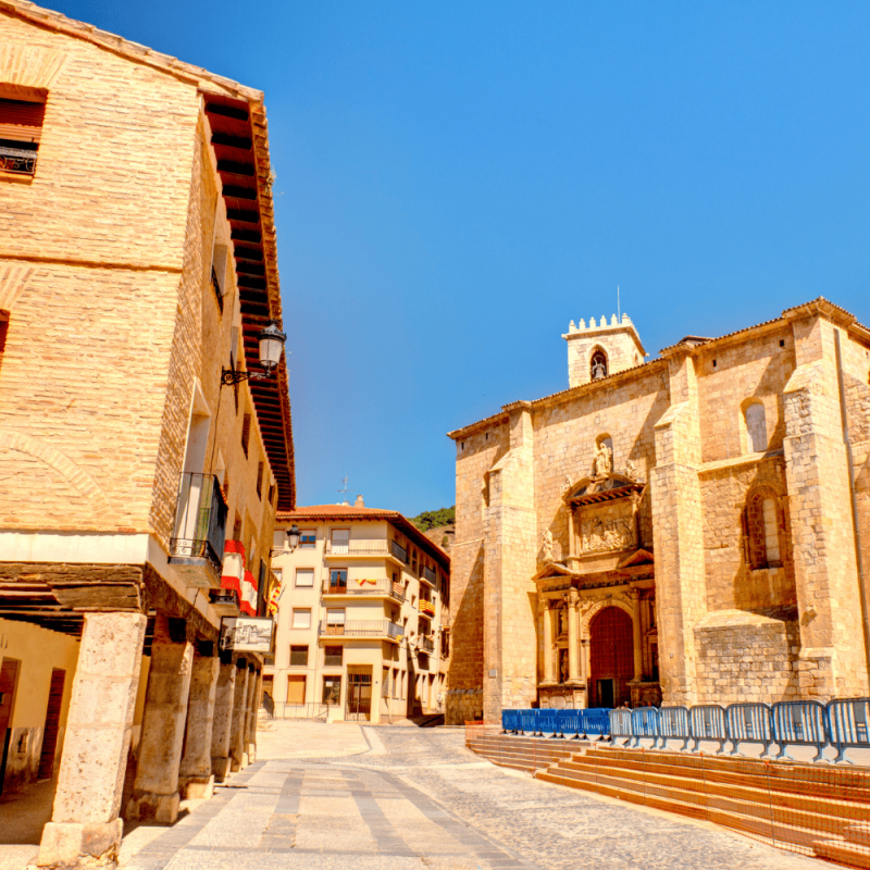 Aragon Highlight Photos CountryBred