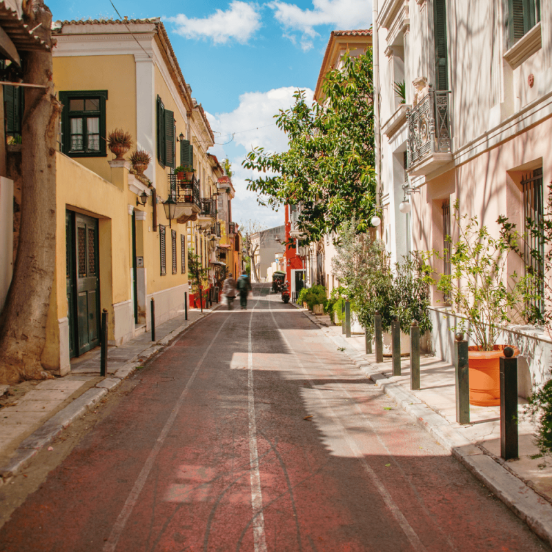 Athens Region Highlight Photos CountryBred (1)