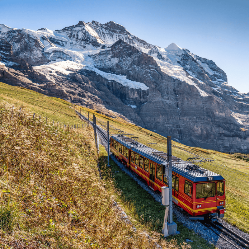 Bern Highlight Photos CountryBred (1)