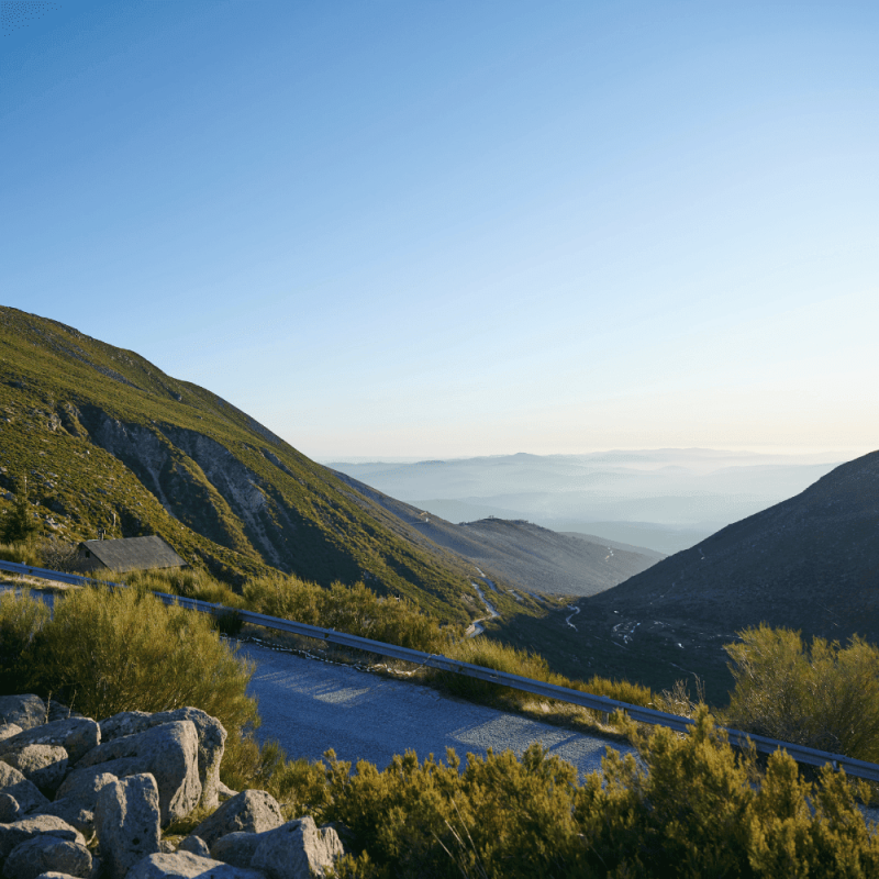 Centro Region Highlight Photos CountryBred