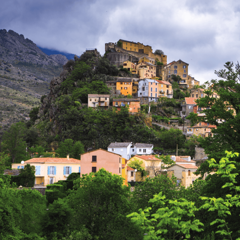 Corsica Highlight Photos CountryBred (1)