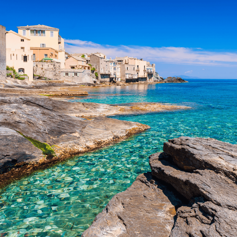 Corsica Highlight Photos CountryBred (2)