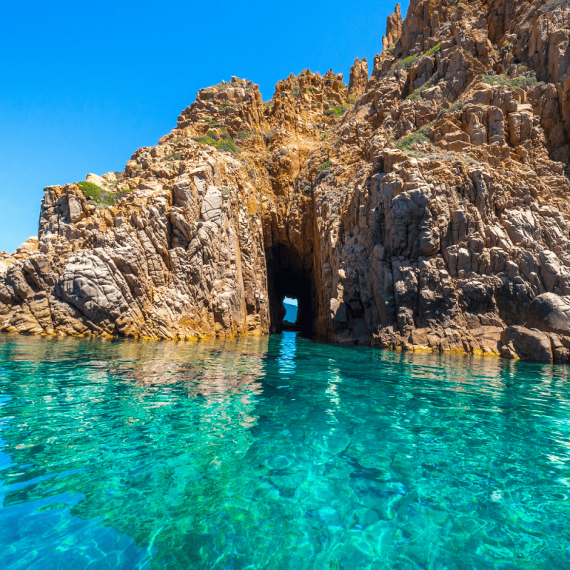 Corsica Highlight Photos CountryBred