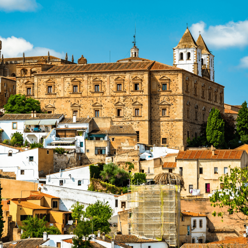 Extremadura Highlight Photos CountryBred (2)