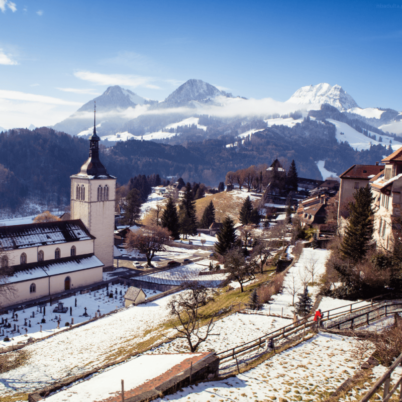 Fribourg Highlight Photos CountryBred (1)