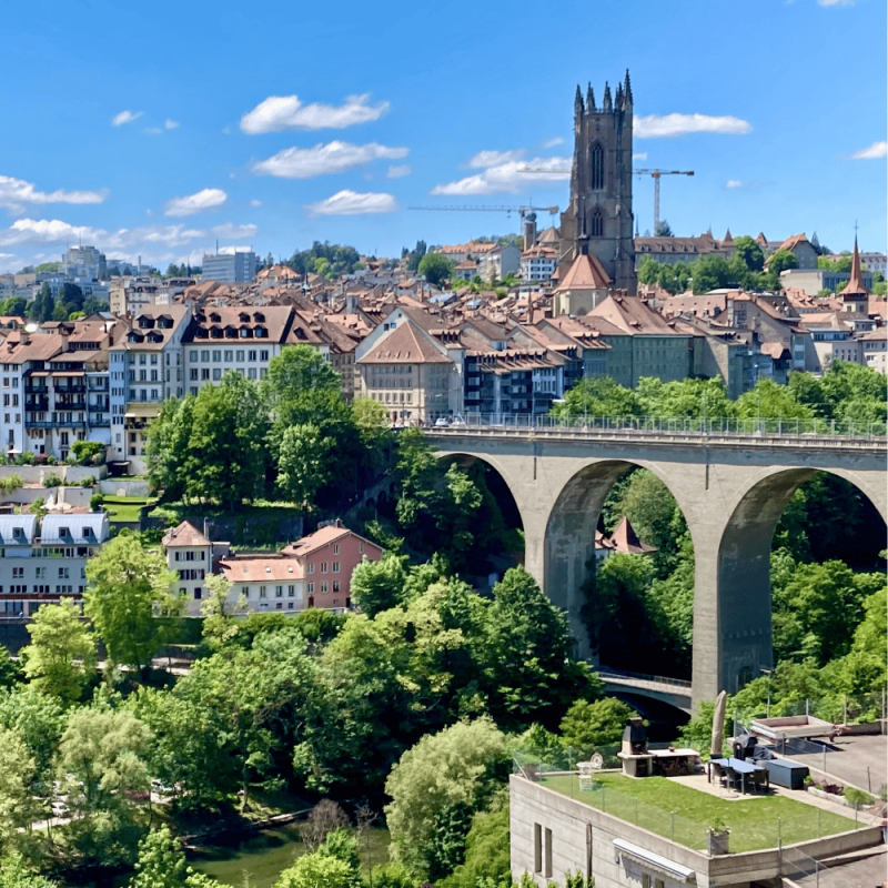 Fribourg Highlight Photos CountryBred (2)