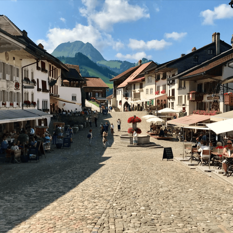 Fribourg Highlight Photos CountryBred