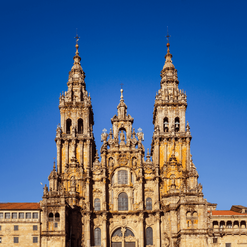 Galicia Highlight Photos CountryBred (2)