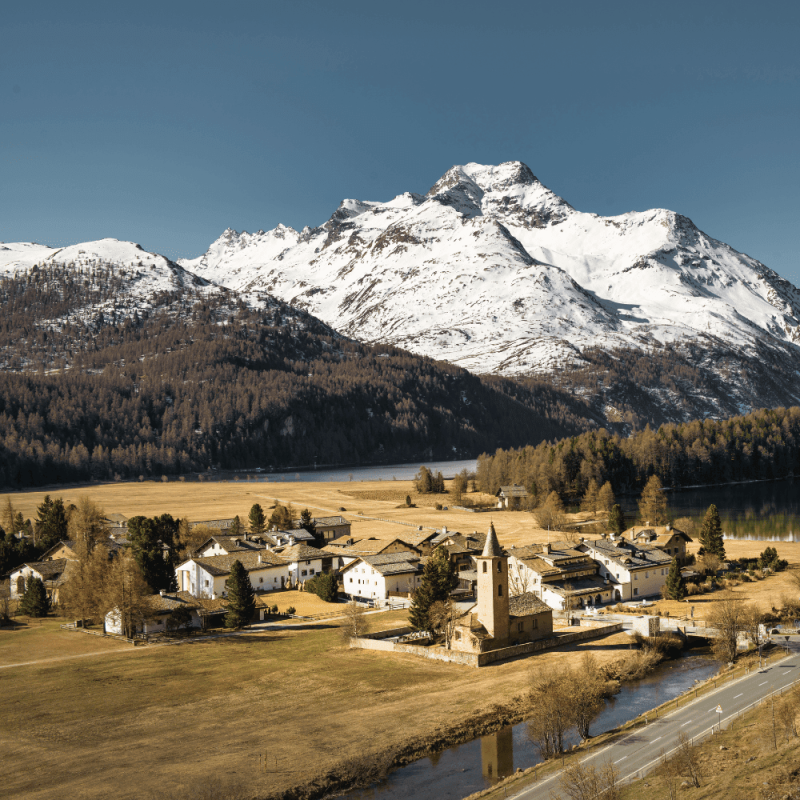Graubunden Highlight Photos CountryBred (2)