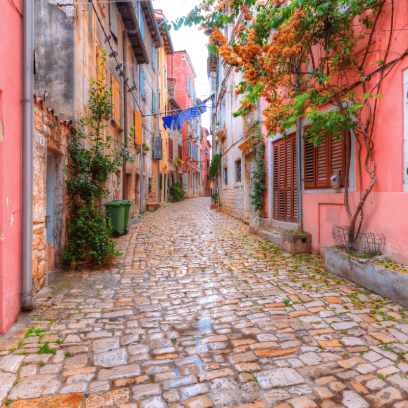 Istria Croatia Highlight Photos CountryBred (2)