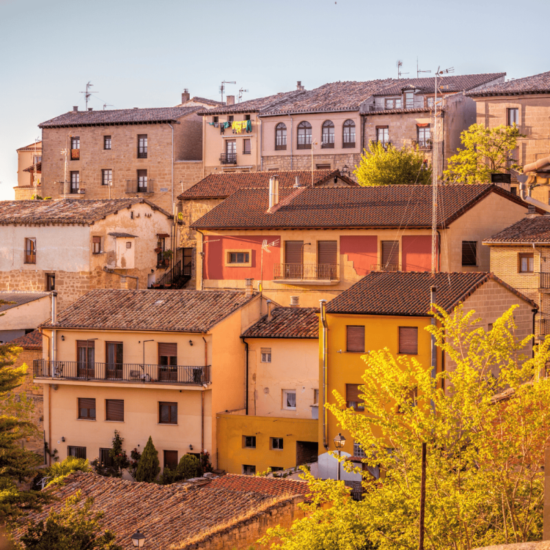 La Rioja Highlight Photos CountryBred (1)