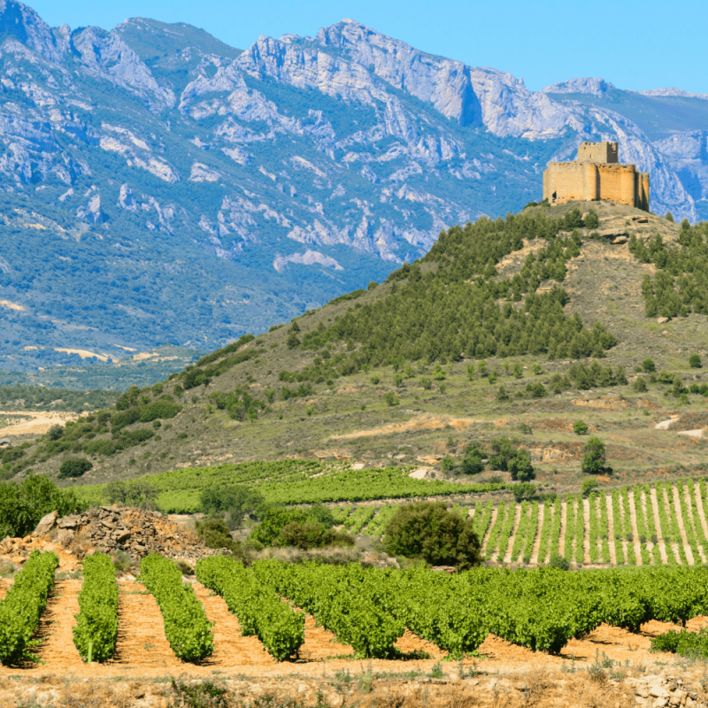 La Rioja Highlight Photos CountryBred (2)