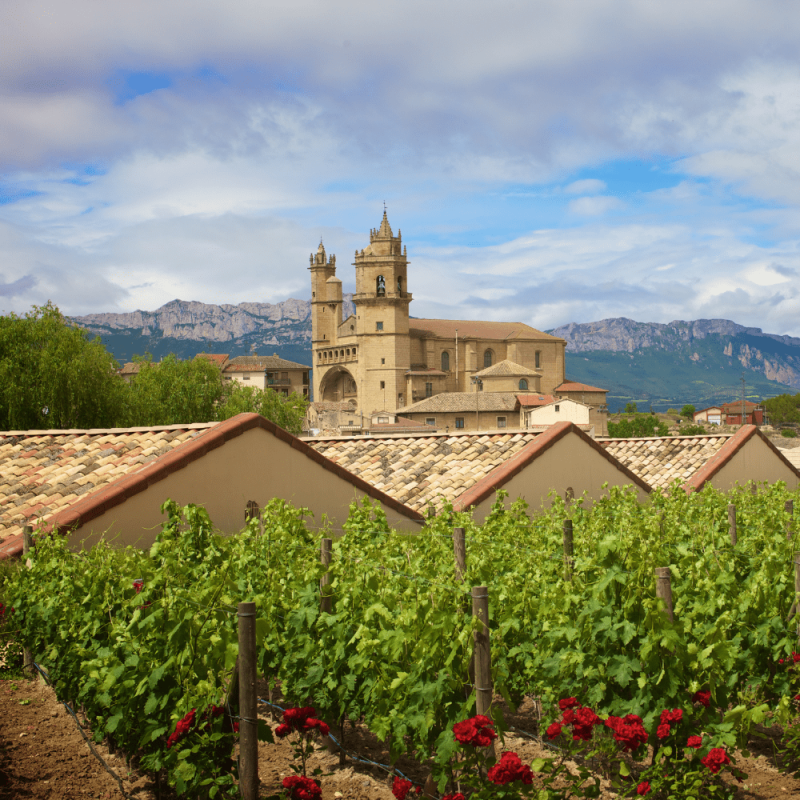 La Rioja Highlight Photos CountryBred