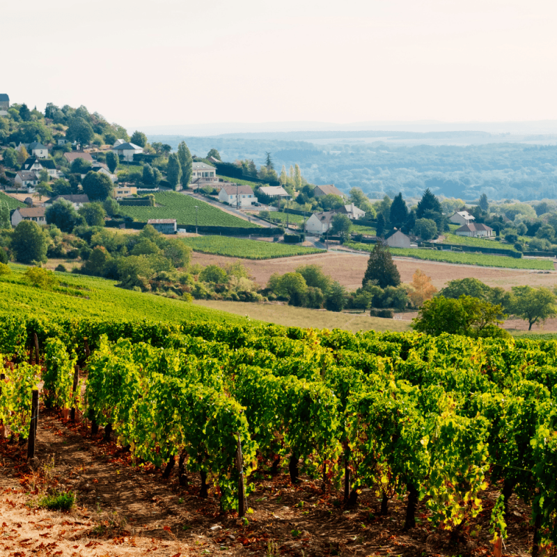 Loire Valley France Highlight Photos CountryBred