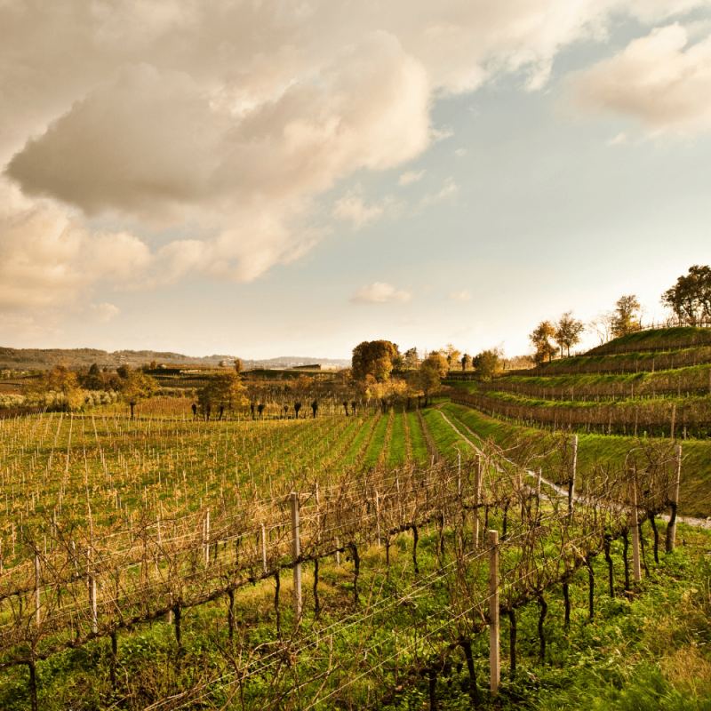 Lombardia Region Highlight Photos CountryBred (2)