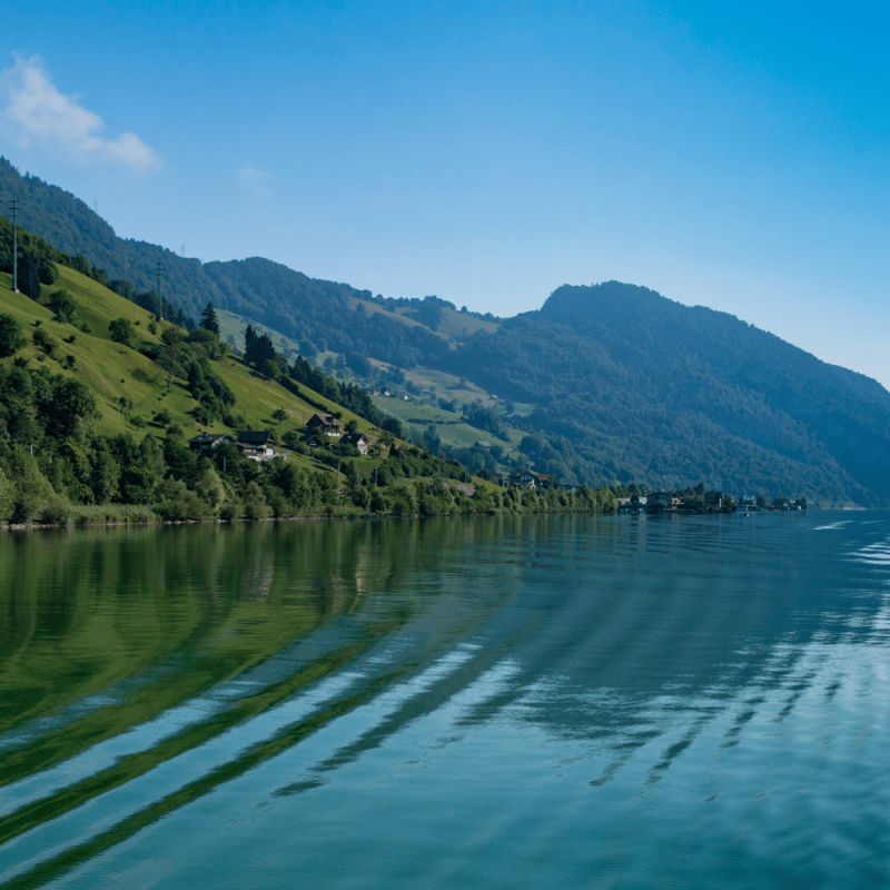 Luzern Highlight Photos CountryBred (1)