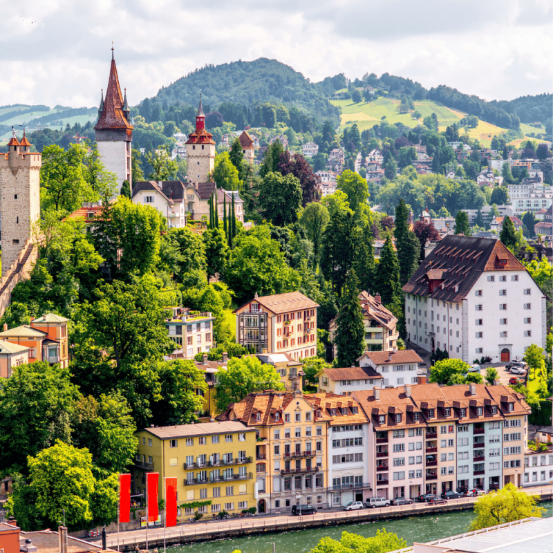 Luzern Highlight Photos CountryBred (2)