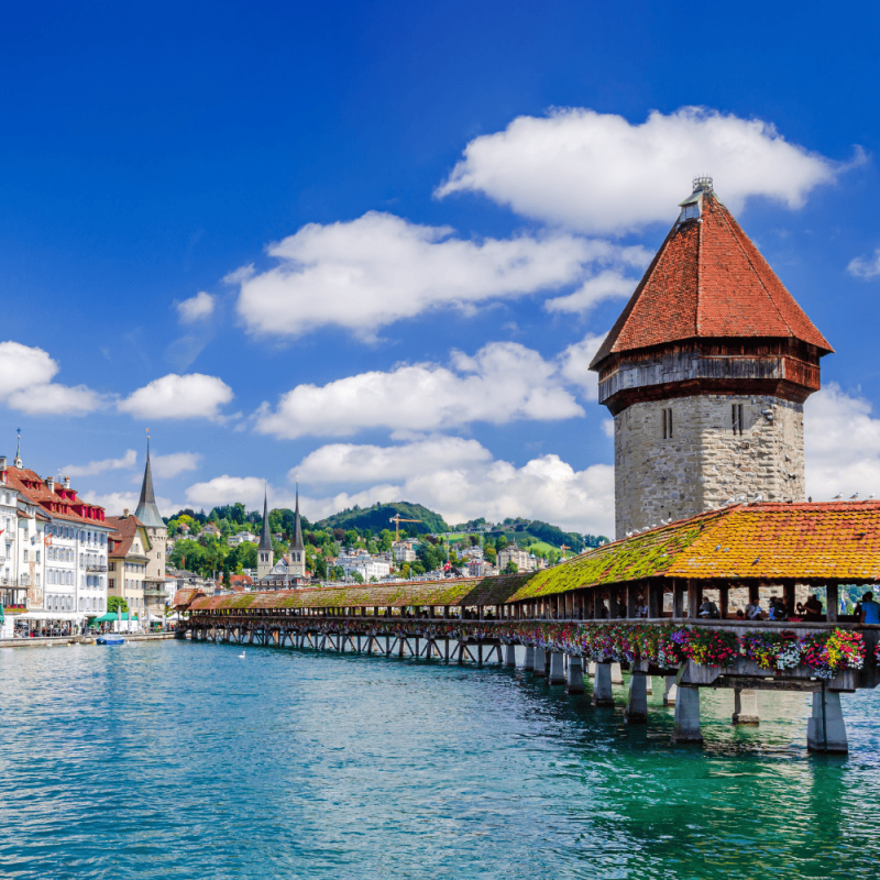 Luzern Highlight Photos CountryBred