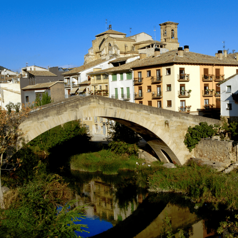 Navarra Highlight Photos CountryBred (2)