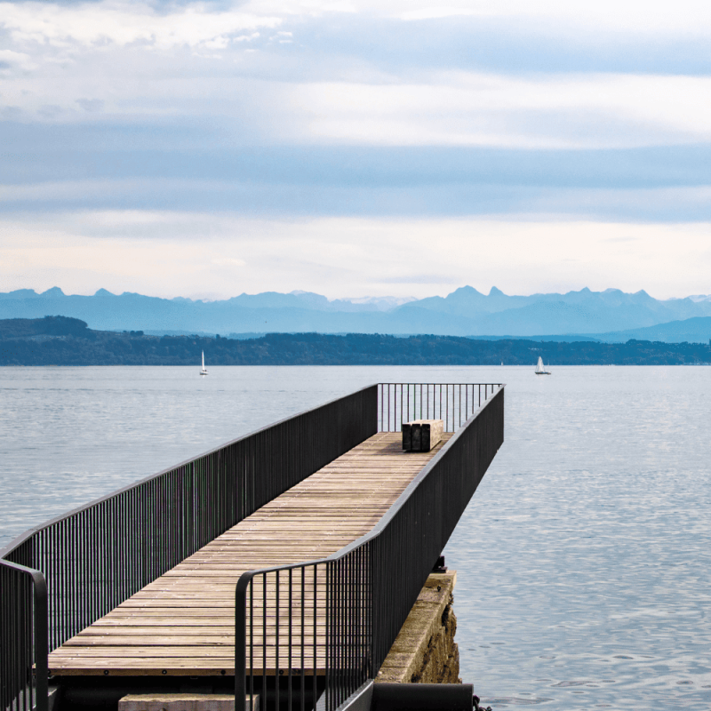 Neuchatel Highlight Photos CountryBred (1)