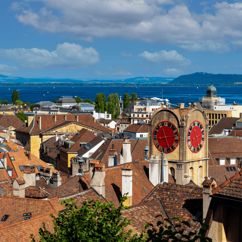 Neuchatel Highlight Photos CountryBred (2)