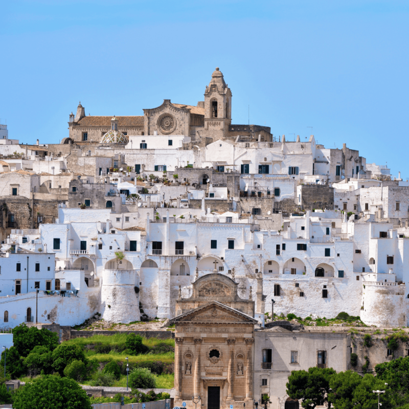 Puglia Region Highlight Photos CountryBred (1)