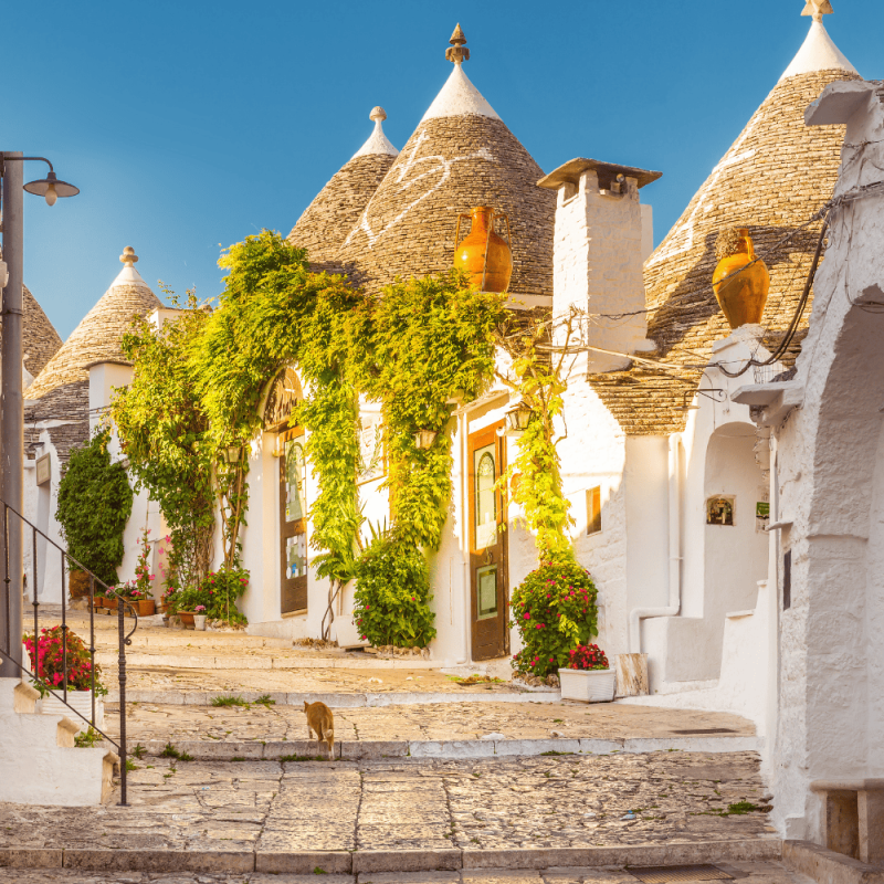 Puglia Region Highlight Photos CountryBred (2)