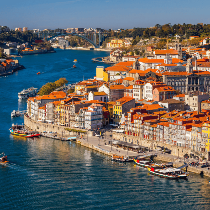 The Norte and Porto Highlight Photos CountryBred