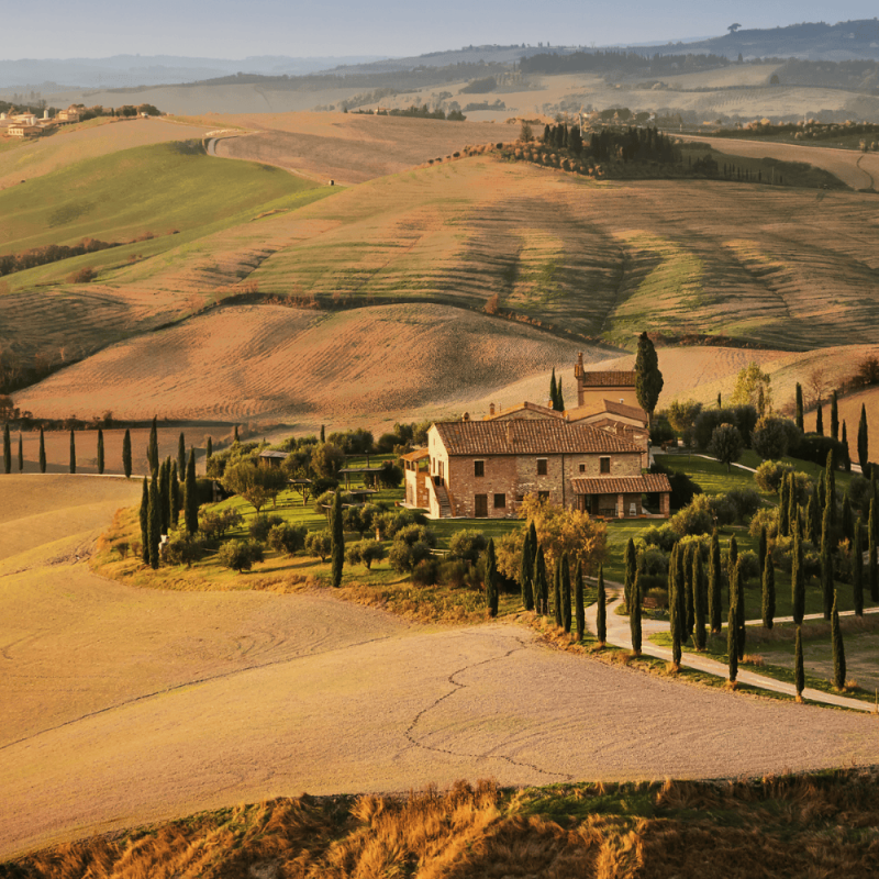 Toscana Region Highlight Photos CountryBred (1)