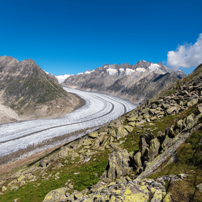 Valais Highlight Photos CountryBred (1)