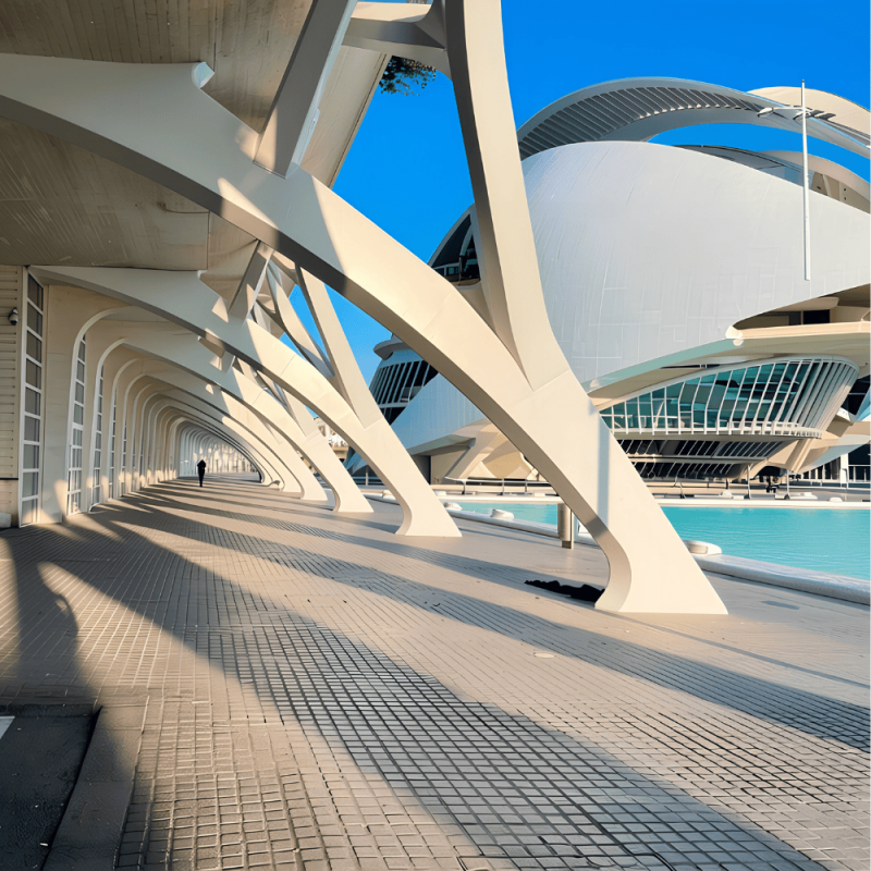 Valencia Highlight Photos CountryBred (1)