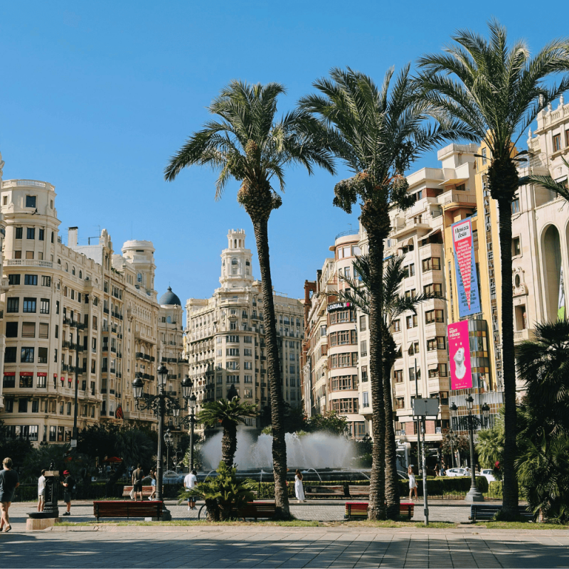 Valencia Highlight Photos CountryBred (2)