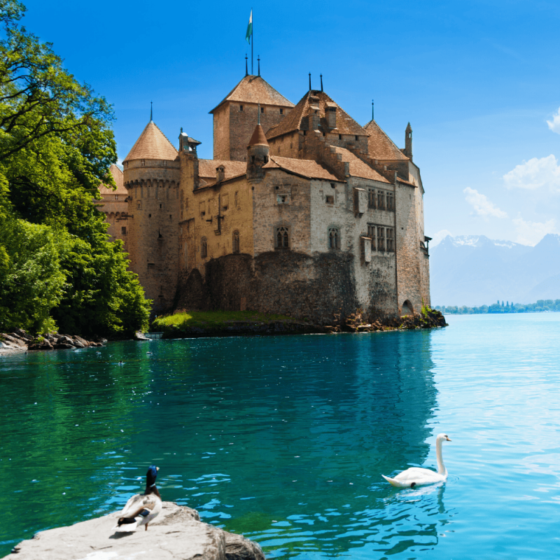 Vaud Highlight Photos CountryBred