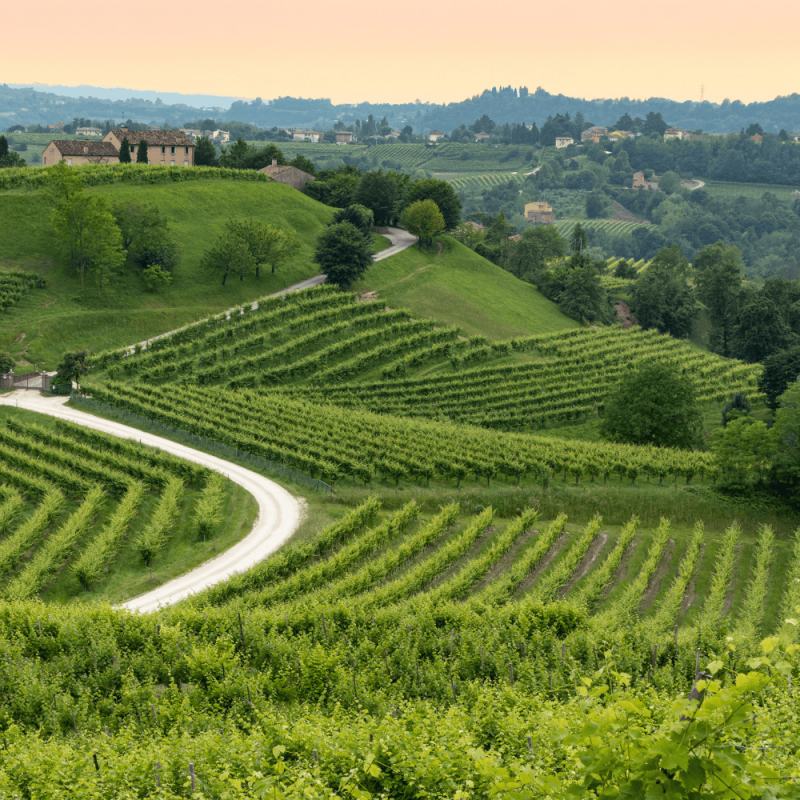 Veneto Region Highlight Photos CountryBred