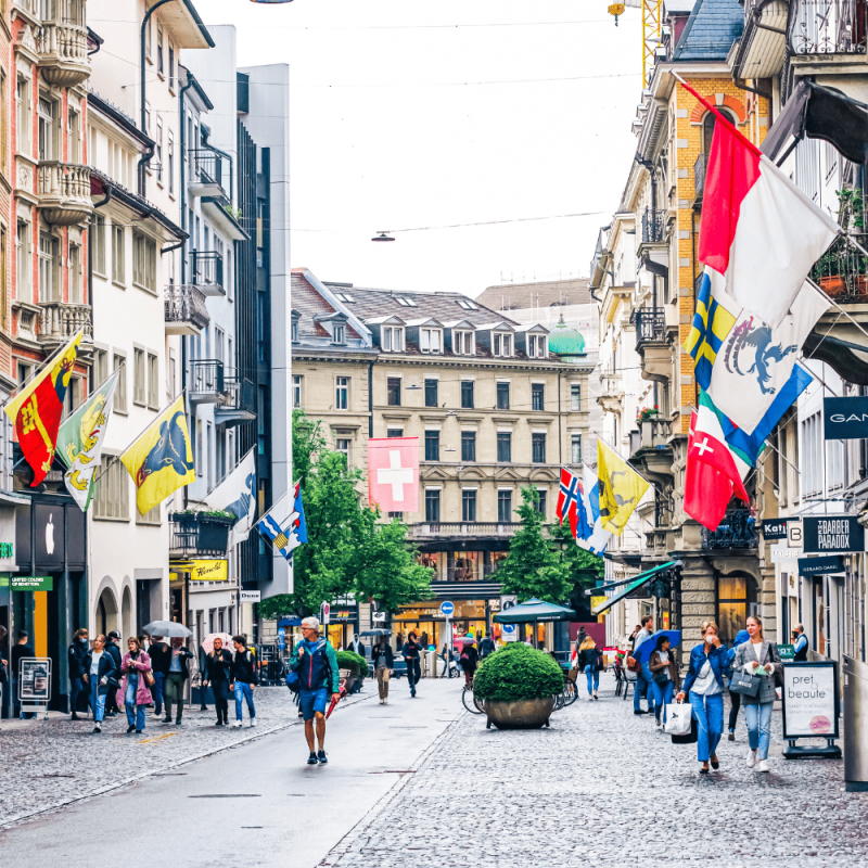 Zurich Highlight Photos CountryBred (2)