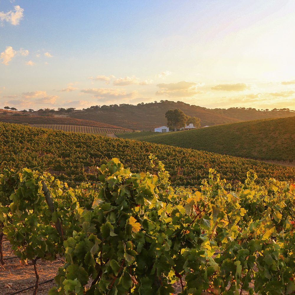 alentejo-1-portugal-places-countrybred alentejo-1-portugal-places-countrybred
