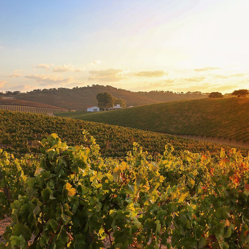 alentejo-crafted-encounter