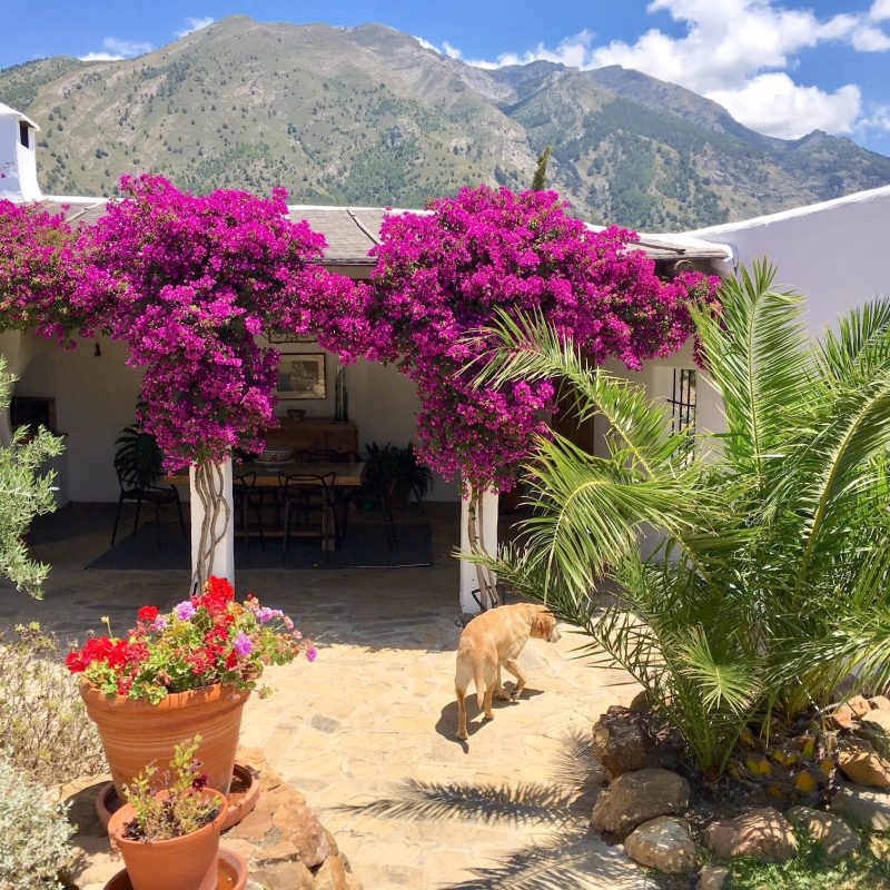 countryhouse-andalucia-casita-courtyard-countrybred