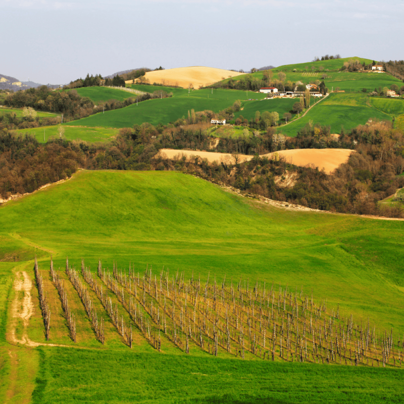 emilia-romagna Region Highlight Photos CountryBred (1)