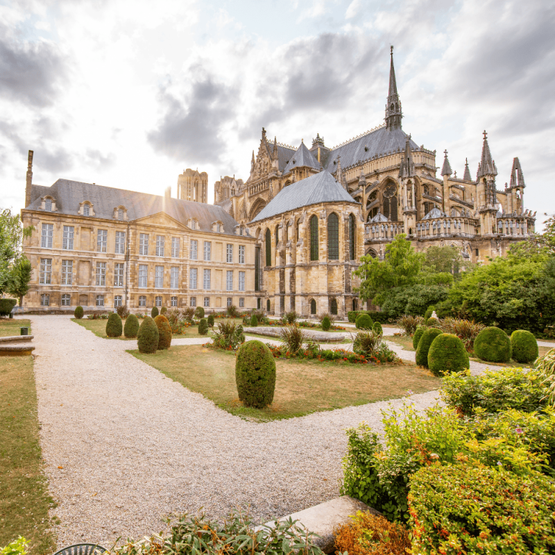 grand est France Highlight Photos CountryBred (2)