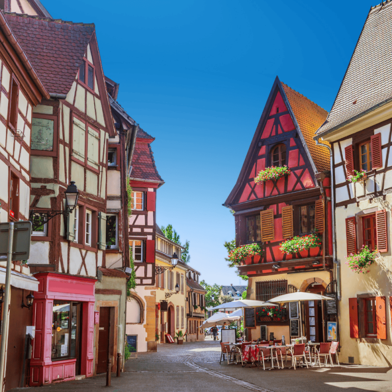 grand est France Highlight Photos CountryBred