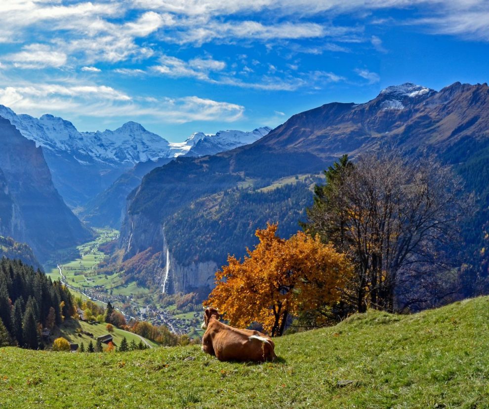 switzerland-places-countrybred switzerland-places-countrybred