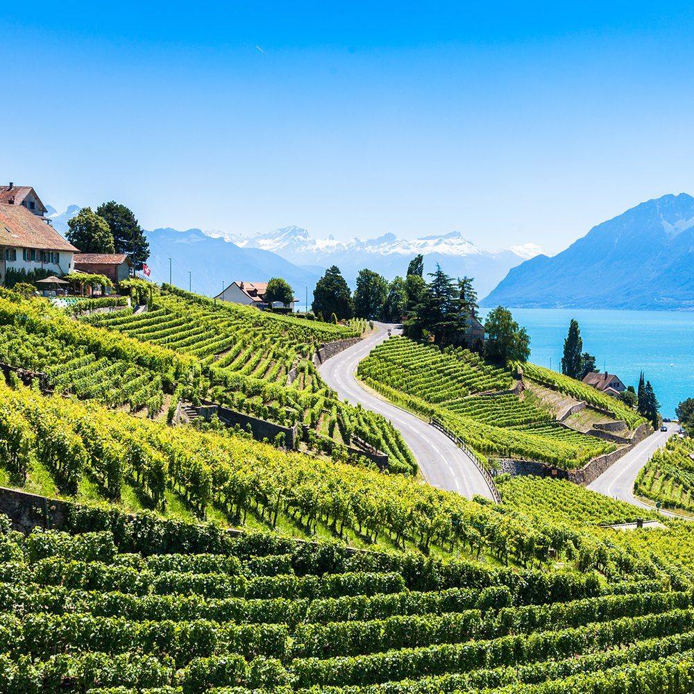 vaud-switzerland-places-countrybred vaud-switzerland-places-countrybred